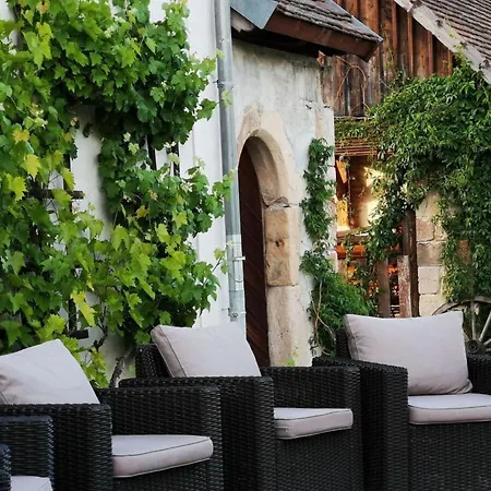 With Private Pool, Garden Apartment Oppurg